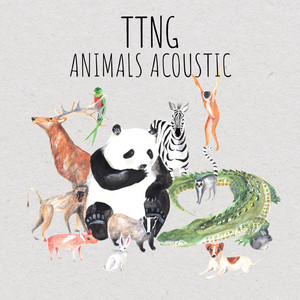 Rabbit - Acoustic by TTNG