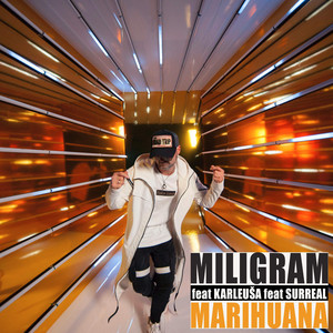 Marihuana by Miligram, Jelena Karleusa, Surreal