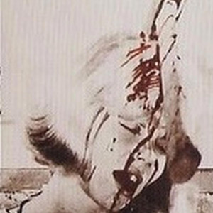 ilove2mosh - givemeyourbrain