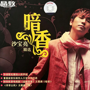 暗香 (电视剧《金粉世家》主题曲) by 沙宝亮