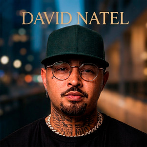 Meu Único Erro by David Natel