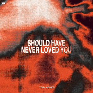 Should Have Never Loved You by Toby Romeo