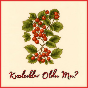 Kızılcıklar Oldu Mu?