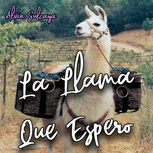 La Llama Que Espero by Alvin Sulcaya