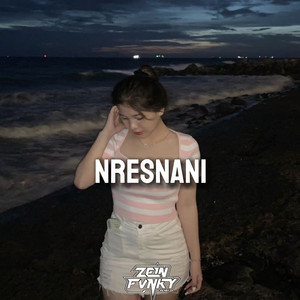 Zein Fvnky - Nresnani