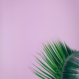 La Cadera by KUKO