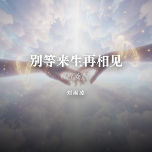 别等来生再相见（DJ女版） by 刘雨凌
