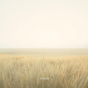 Fields by Demiver
