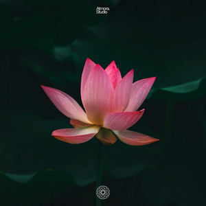 Zen Riverlight by Atmora