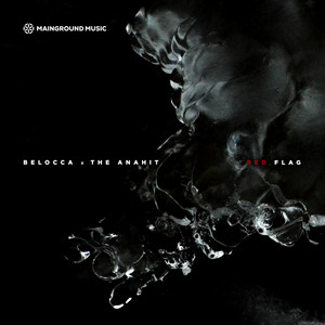 Red Flag - Radio Edit artwork