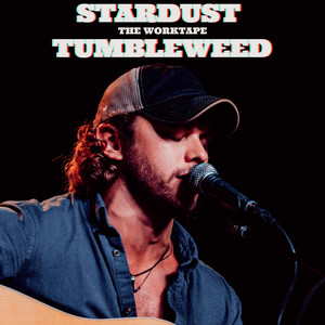 Stardust Tumbleweed - Worktape by John Haywood