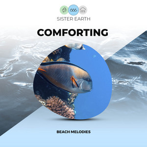 Comforting Beach Melodies album