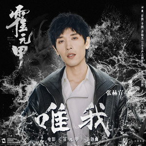 唯我 (電影《霍元甲》主題曲) - 伴奏 by 張赫宣