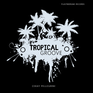 Cekay Pellegrini - Tropical Groove (Ck Pellegrini House Mix)