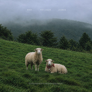 Ese Lugar by Drey, Juanco Arellano