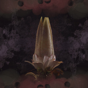 Amtrac — Hummingbird (2026)