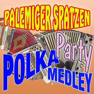 Polkaparty 2