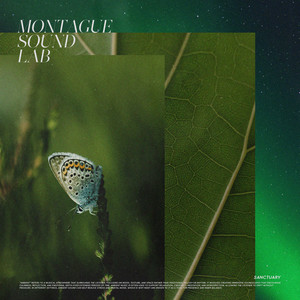 Sanctuary by Montague Sound Lab