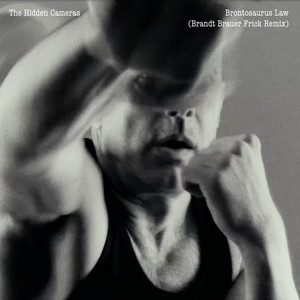 Brontosaurus law (Brandt Brauer Frick Remix) cover art