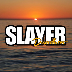 Slayer FIJI - Heartbeats (Aydvn)