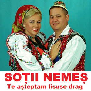 Sotii Nemes - Te Așteptam Iisuse Drag