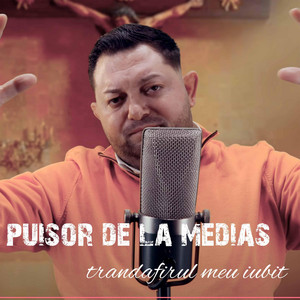 Puisor de la Medias - Trandafirul meu iubit (doina tata) 2025