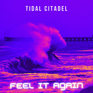 Tidal Citadel artist photo