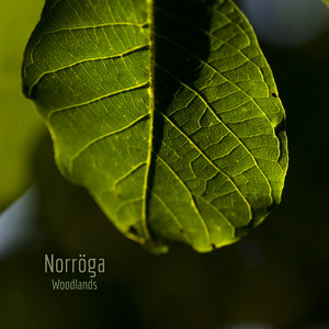 Woodlands by Norröga