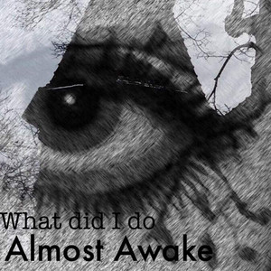 What Did I Do by Almost Awake