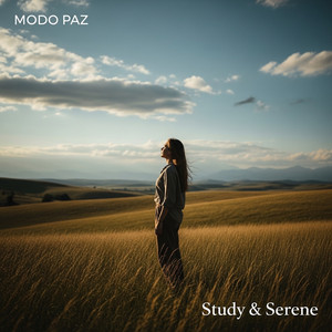 Study & Serene by MODO PAZ