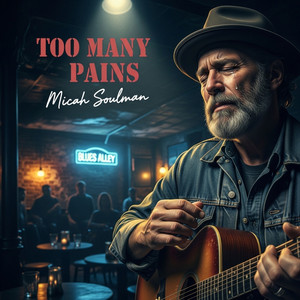Too Many Reasons by Micah Soulman