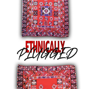 Ethnically PLUGGED poster