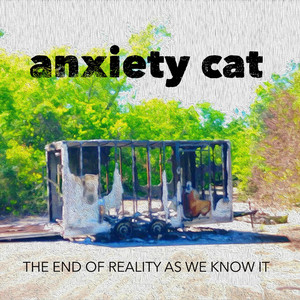 Anxiety Cat - The End of Growth