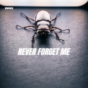Never Forget Me by Kweks