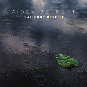 Raindrop Reverie by Aiden Bennett