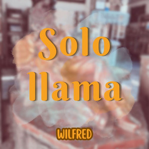 Solo Llama by wilfred