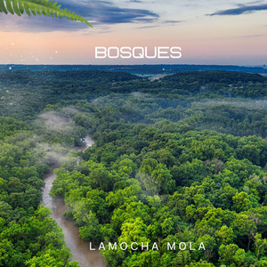 BOSQUES by Lamocha Mola