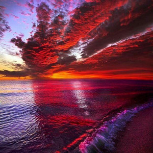 Turner - Rock'n Life