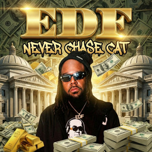 NEVER CHA$e CAT by EDF