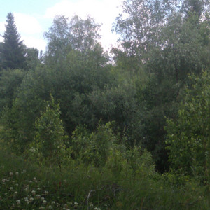 AyonovDenizs - Summer Drive (Outro)