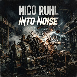 Into Noise by Nico Ruhl