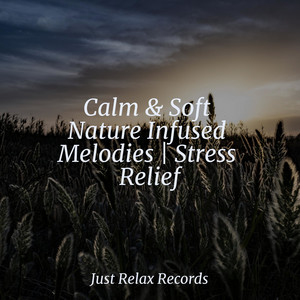 Calm & Soft Nature Infused Melodies | Stress Relief
