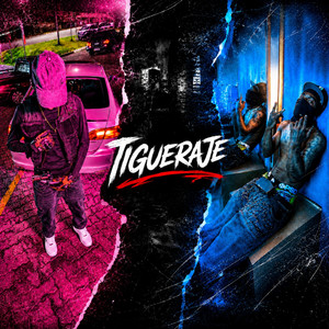 Tigueraje