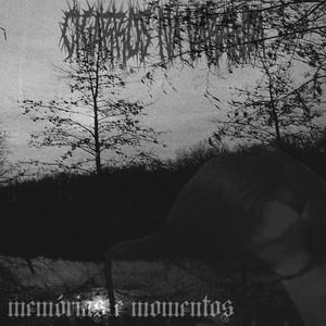 cigarros na varanda - My Last Pain In World, My Last Words For You...