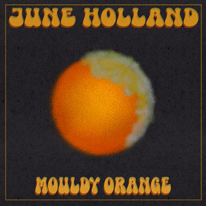 Mouldy Orange by June Holland