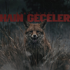 Hain Geceler by Diaz Dizzy