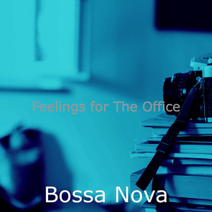 Feelings for The Office album