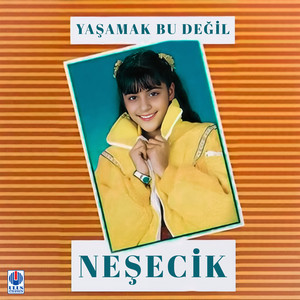 Yollar Seni