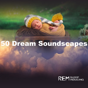 Collection of Dreams