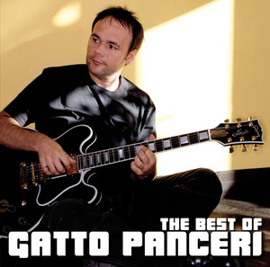 【J21063】Gatto Panceri